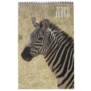 sebra afrika kalender