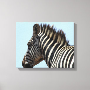 sebra blå canvas