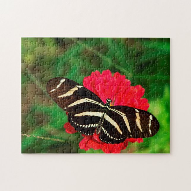 Sebra Longwing Fjäril. Pussel (Horisontell)