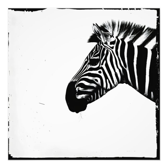Sebra Monokrom Minimalism Fototryck (Framsidan)