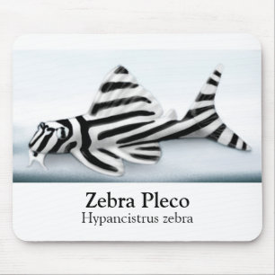 Sebra Pleco Mousepad Musmatta
