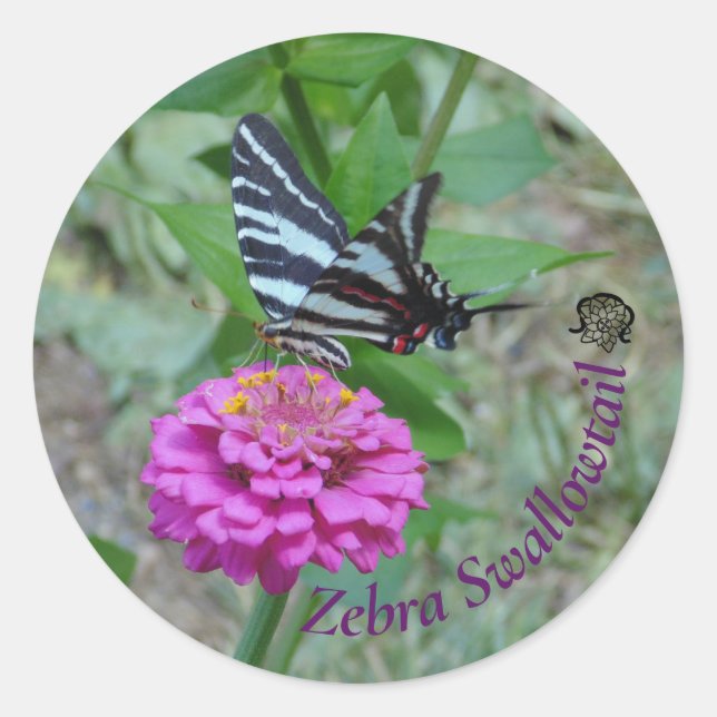 Sebra Swallowtail Runt Klistermärke (Framsida)