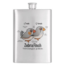 SebraFinchstatistik Fickplunta