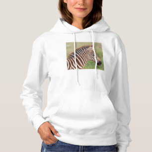 Sebrafö foal huvud, Tanzania Tee