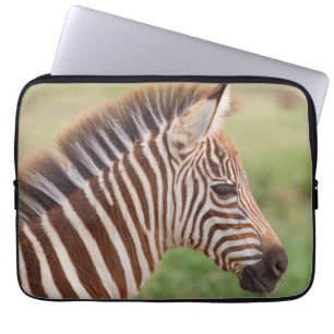 Sebrafölhuvud, Tanzania Laptop Fodral