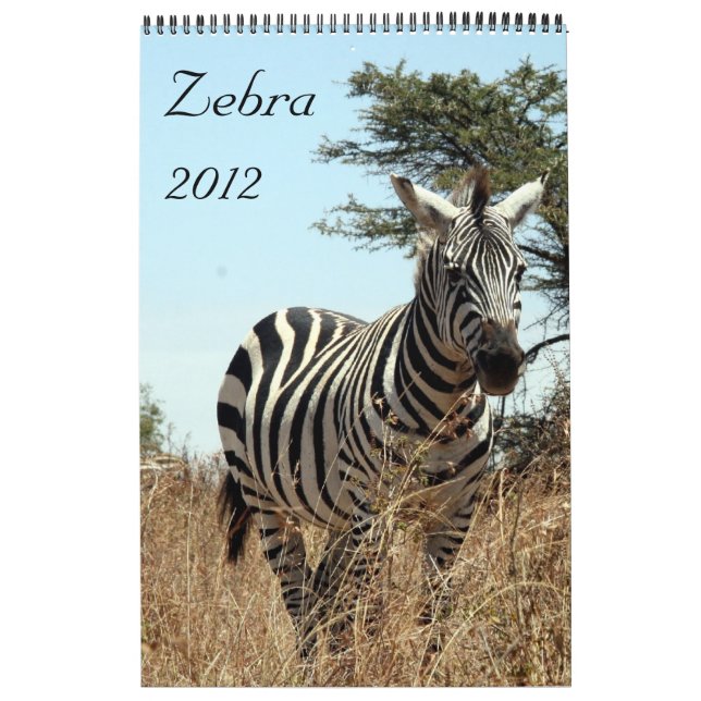 sebrakalender 2012 kalender (Omslag)