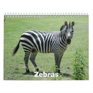 Sebrakalender, zebror kalender