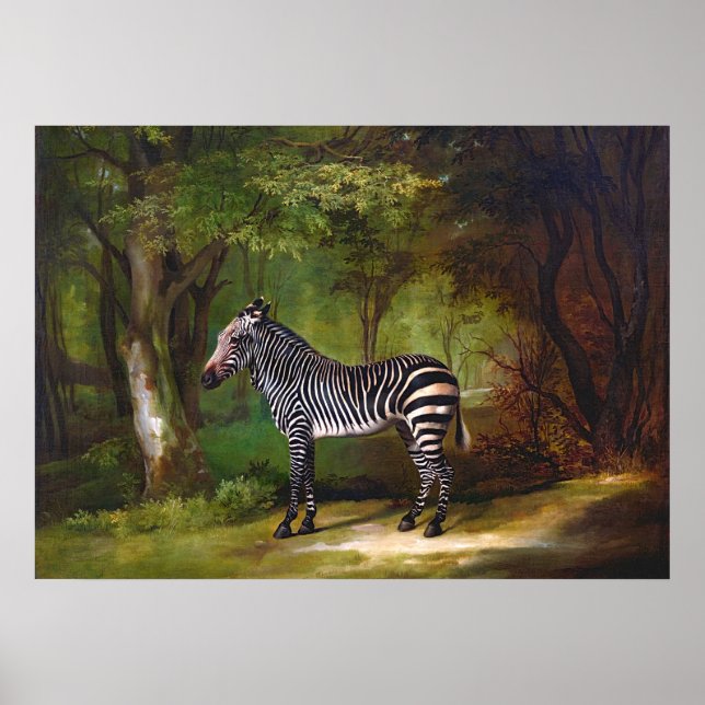 Sebramålning (1763) av George Stubbs Poster (Framsidan)