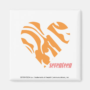 Sebraorange 2 magnet