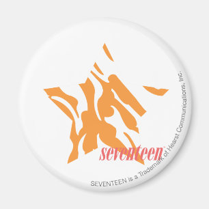 Sebraorange 3 magnet