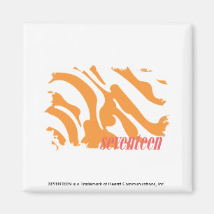 Sebraorange 4 magnet