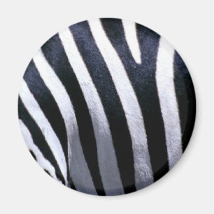 Sebrapäls Magnet