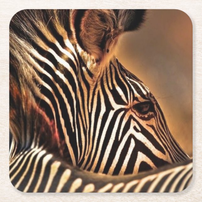 Sebraplaster underlägg (Framsidan)