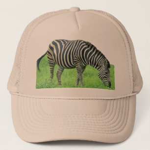 SebraSafarihatt Truckerkeps