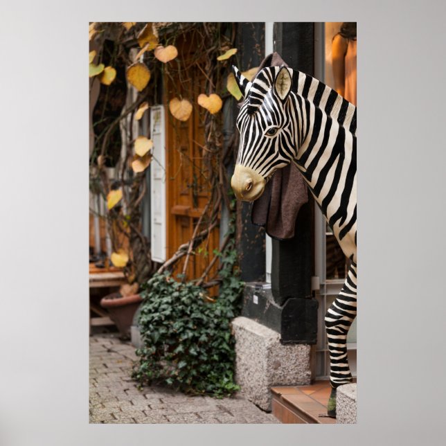 Sebrastaty i butik, Tyskland Poster (Framsidan)