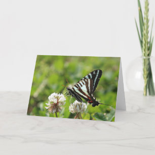 SebraSwallowtail fjäril Kort