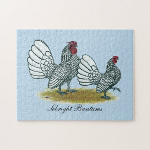 Sebright Bantams: Silver Pussel