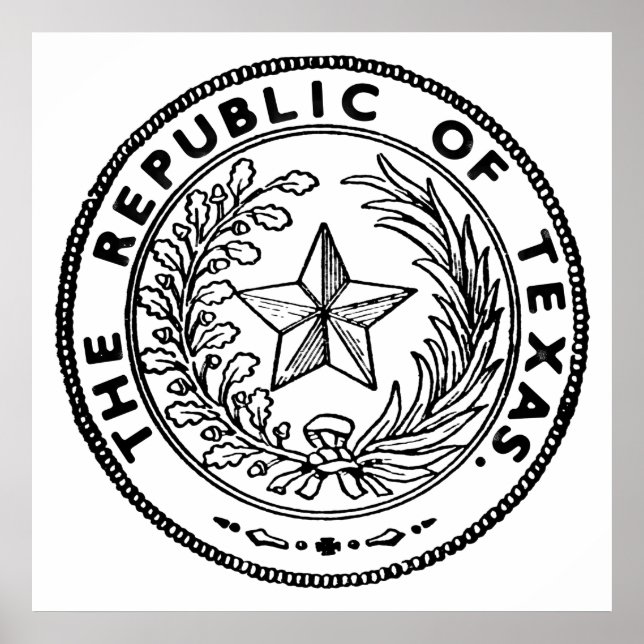 Secede Republic of Texas Poster (Framsidan)