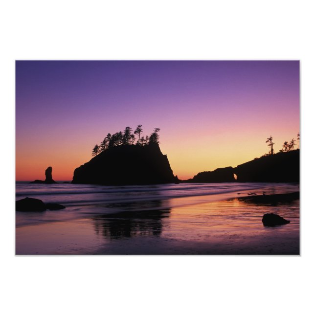 Second Beach i skymningen, Olympic NP, WA, USA Fototryck (Framsidan)