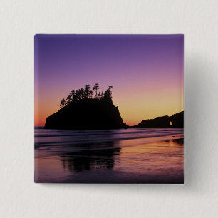Second Beach i skymningen, Olympic NP, WA, USA Knapp