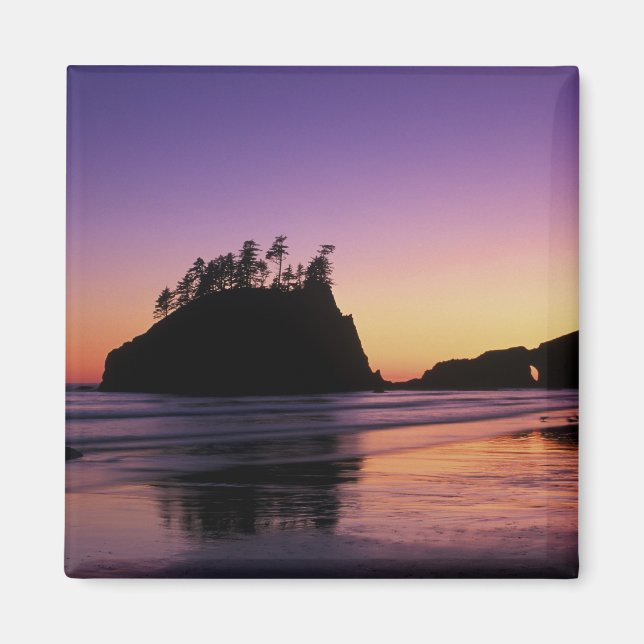 Second Beach i skymningen, Olympic NP, WA, USA Magnet (Framsidan)