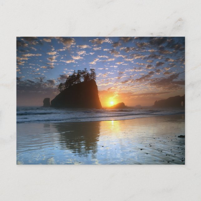 Second Beach, La Push, Sonnenuntergang Vykort (Framsida)