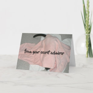 Secret Admirer Valentine från Katt Helgkort