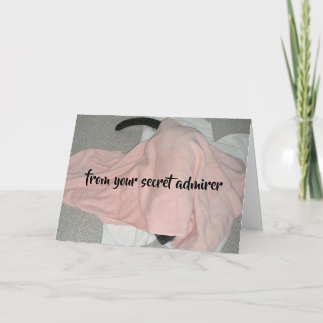 Secret Admirer Valentine från Katt Helgkort (Framsida)