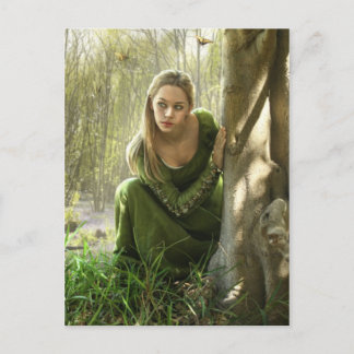 Secret Forest Postcard Vykort