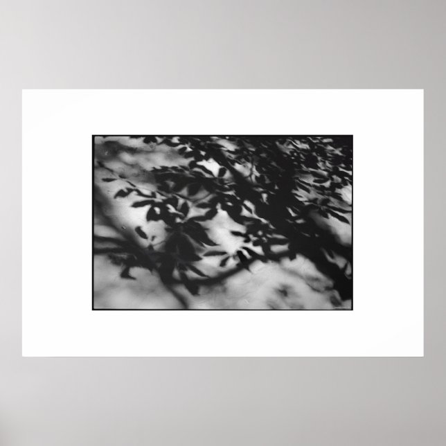 Secret Garden Poster (Framsidan)