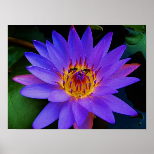 Secret Rendezvous Poster (Framsidan)