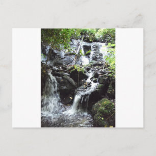 Secret Smoky Mountain Waterfall Vykort