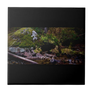 Secret Ställe Kakelplatta