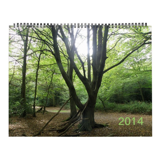 Secret Vild London 2014 Calendar Kalender (Omslag)