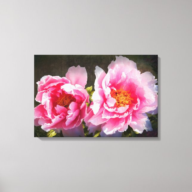 Secreted Away, Rosa Peonies Canvastryck (Framsida)