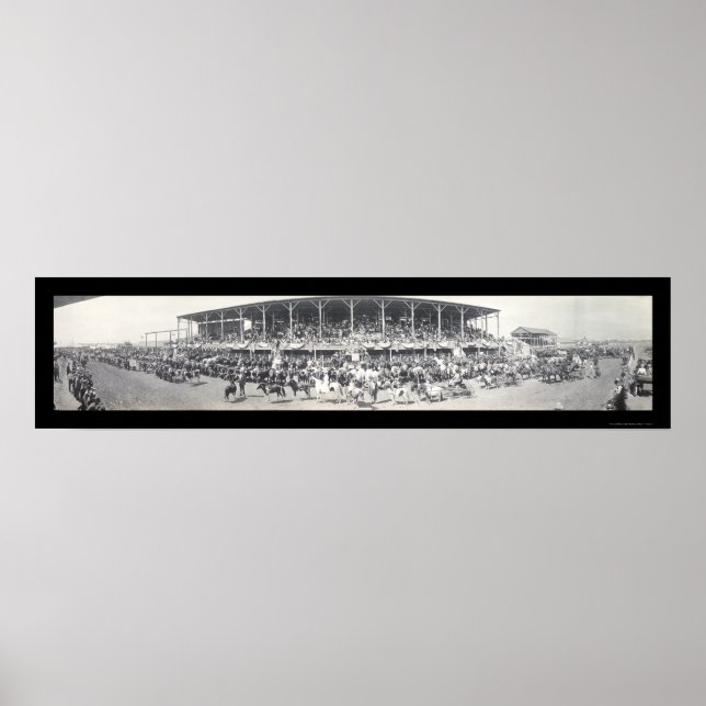 Sedalia MO Cattle Photo 1911 Poster (Framsidan)