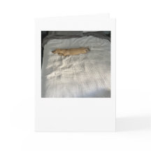 Sedan du var Borta MillieGram