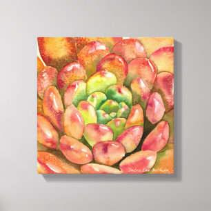 Sedeveria "rosa Ruby" vid Debra Lee Baldwin Canvastryck
