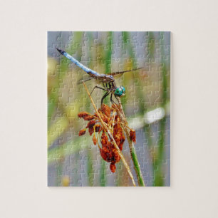Sedge-gräs och Dragonfly Pussel