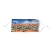 Sedona Arizona