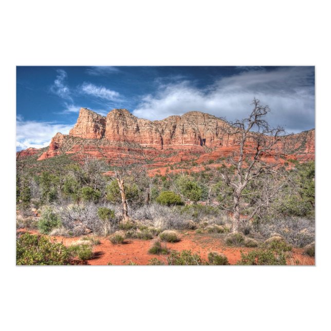 Sedona Arizona röd klipplandskap Fototryck (Framsidan)