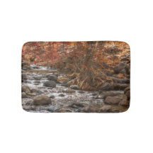 SEDONA ARIZONA SKOGSBRUKSFÖRRÄN