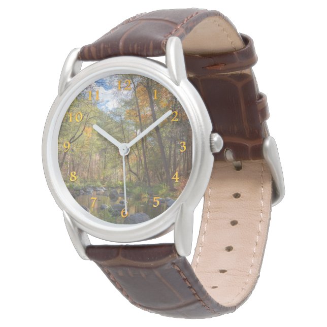 SEDONA ARIZONA STREAMING EN ANNAN DAG ARMBANDSUR (Vinklad)