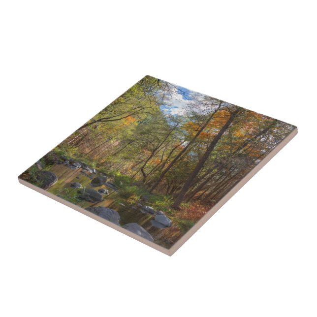 SEDONA ARIZONA STREAMING EN ANNAN DAG KAKELPLATTA (Sidan)