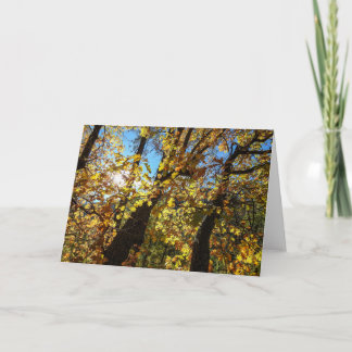 Sedona Autumn Notecard Kort