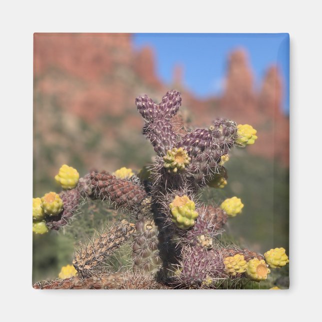 Sedona Cactus Desert Magnet (Framsidan)