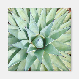 Sedona Grönt Agave Plant Magnet