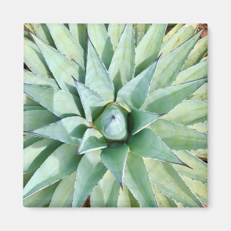 Sedona Grönt Agave Plant Magnet