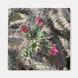 Sedona Rosa Cactus Bloom Desert Magnet
