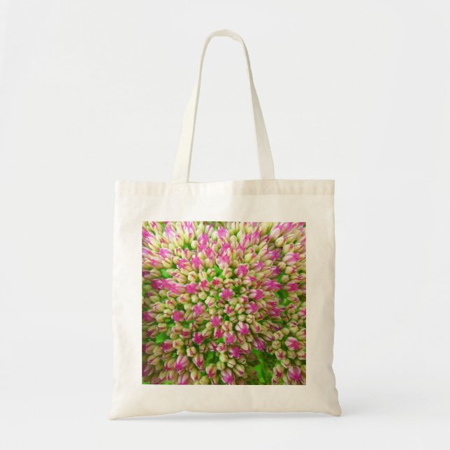 Sedum Autumn Joy Tygkasse (Framsidan)